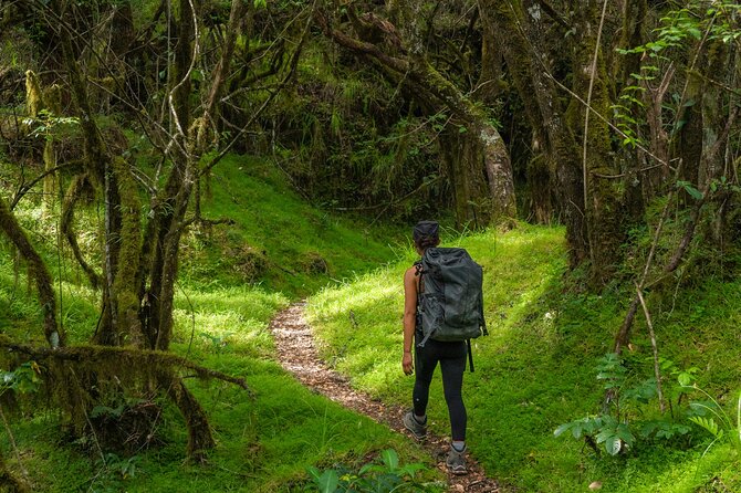 6-Day Mount Meru Climb Through Momella Route Guided Tour