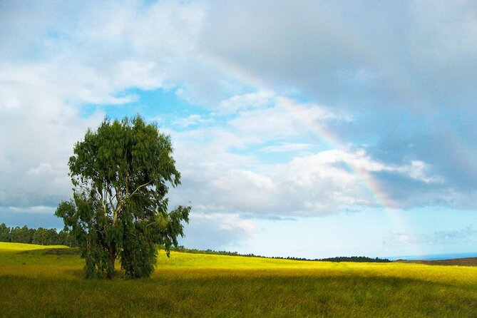 6-Day Private Easter Island Archaeology and Hiking Adventure