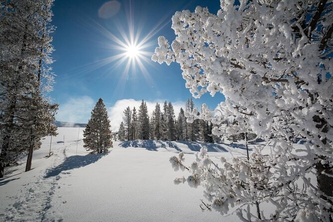 6-Day Tour of Yellowstone and Grand Teton Winter Adventure