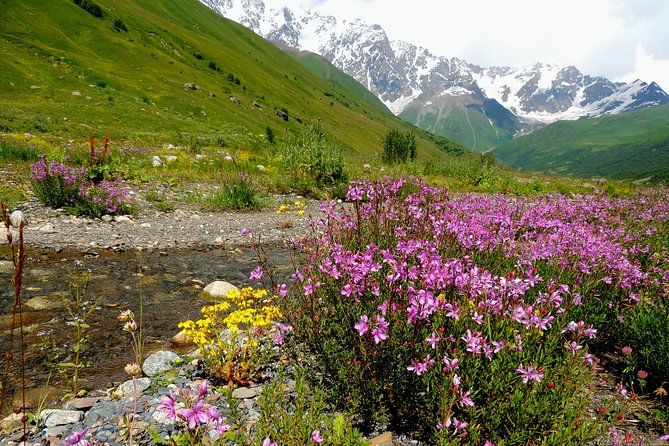 6-Day Tour to Georgia From Tbilisi. Cultural Heritage