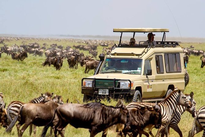 6 Days Budget Tanzania Camping Safari