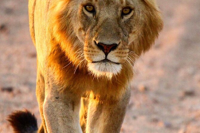 6 Days Enchanting Tanzania Safaris – Mid Range Safari