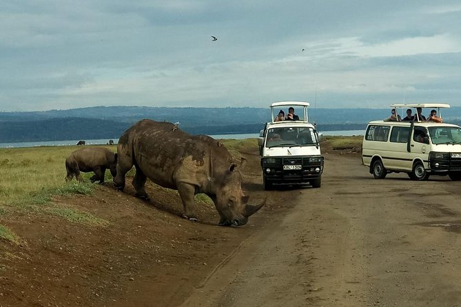 6 Days Maasai Mara – Nakuru – Amboseli Budget Group Safari.