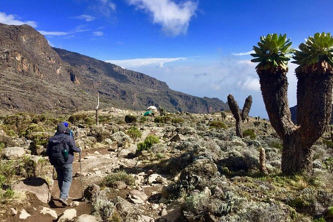 6 Days Machame Route Kilimanjaro Trekking