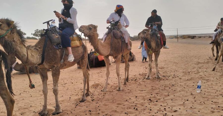 6 Days Tour From Casablanca To Fes, Via Marrakech & Desert - Tour Overview and Pricing