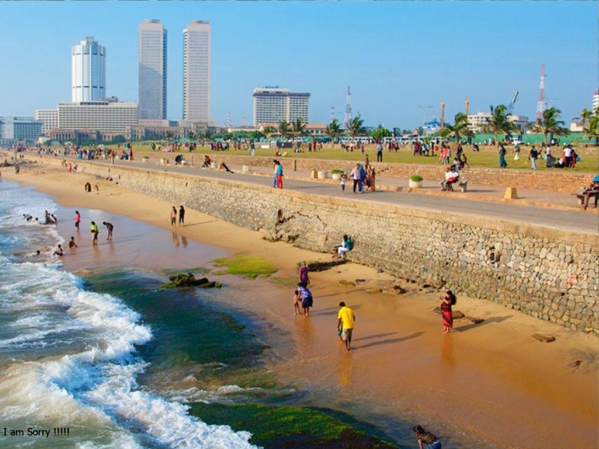 13 Best National Park Tours In Galle