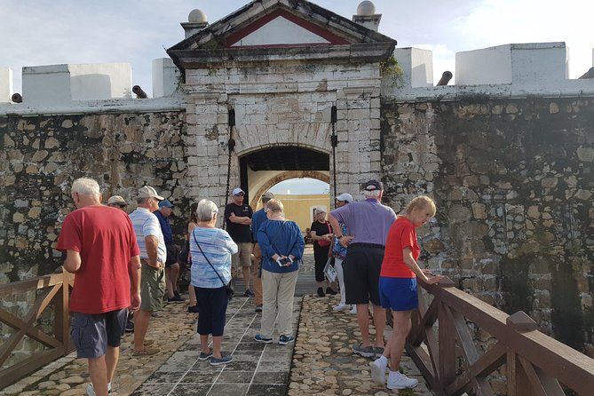 6Hr Walking & Van Tour San Diego Fort Museum Cliff Divers Zocalo - Tour Overview