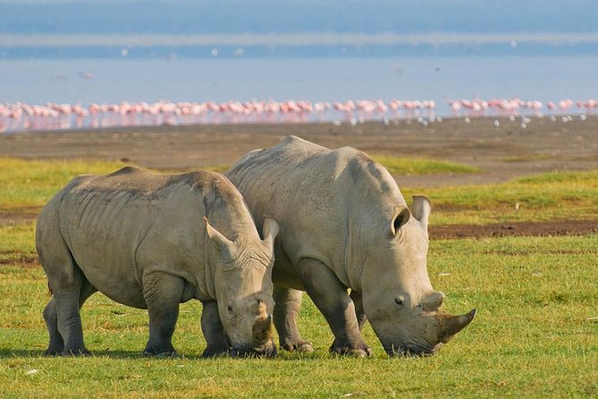7 Day Masaai Mara, Lake Nakuru, Lake Naivasha / Hells Gate and Amboseli Safari
