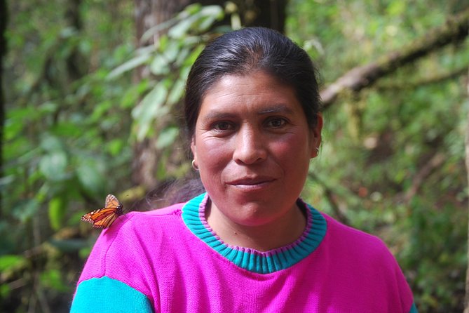 7 Day-Monarch Butterfly Ecofriendly Tour in Mexico