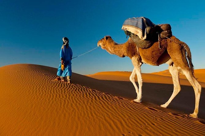 7-Day Private Guided Cultural Tour of Morocco From Casablanca - Tour Overview