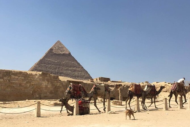7-Day Private Guided Tour in Cairo, Luxor and Aswan