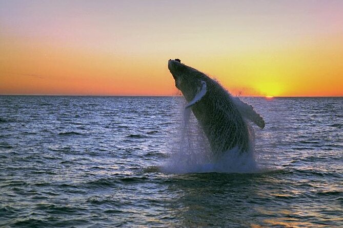 7 Day Private Iceland With Reykjavik Blue Lagoon Snæfellsnes Golden Circle South