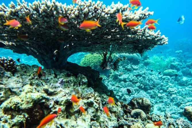7-Day Private Tour, Jordans Beauty