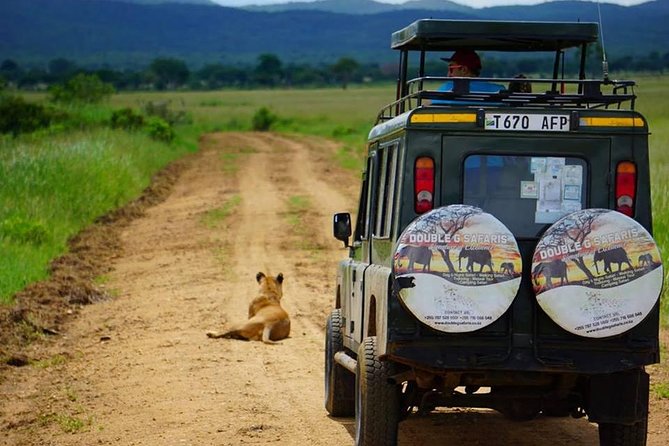 7 Day Safari to Selous, Mikumi and Ruaha National Parks + Transfers