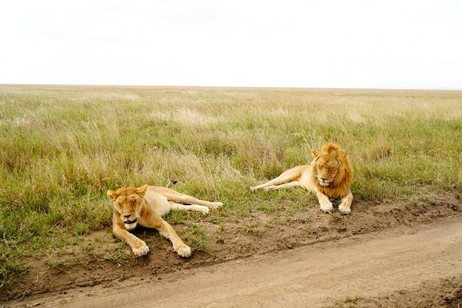 7 Day Tanzania Visiting Arusha, Lake Manyara, Serengeti, Ngorongoro & Tarangire