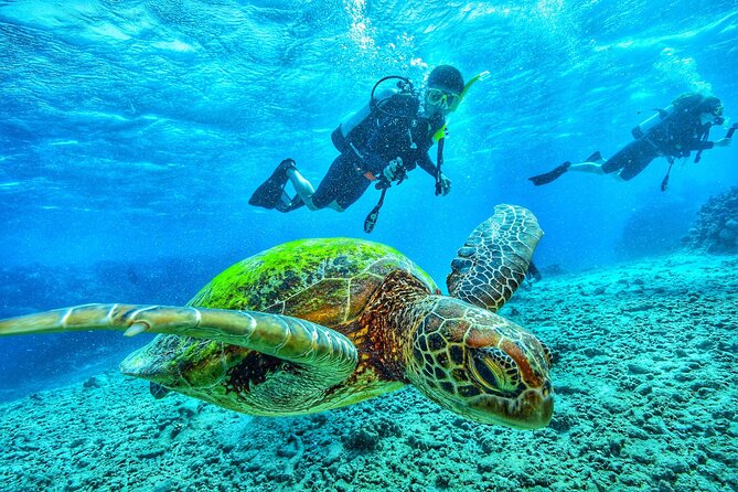 7 Days Diving and Hiking on the Galapagos Islands Tour