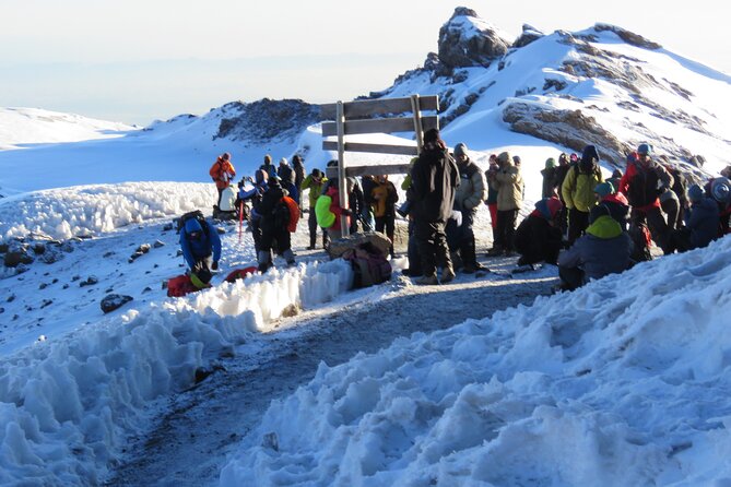 7 Days Machame Route Kilimanjaro Hiking ( Climbing ) Tour