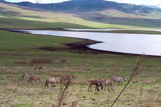 7 Days Mt Kilimanjaro,Tarangire NP, Ngorongoro, Serengeti NP, Lake Manyara NP