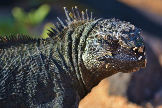 7 Days Tour in Quito and Santa Cruz/Galapagos – Best of Ecuador
