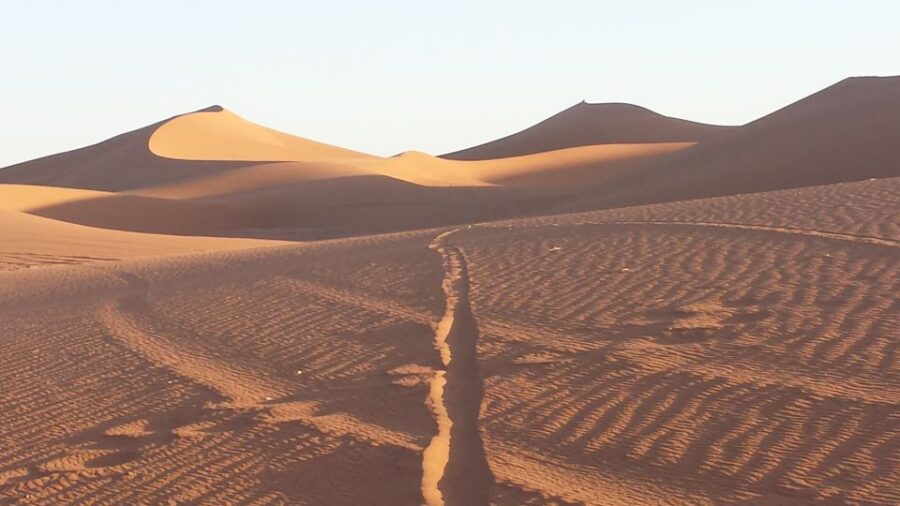 7 Days Tour to the Sahara and Imperial Cities From Marrakech