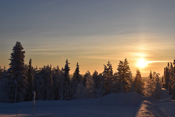 7 Days Winter Lapland Nature Experience - Tour Overview