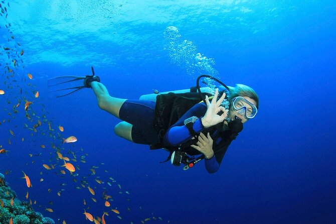 7 Hours Scuba Diving in Antalya