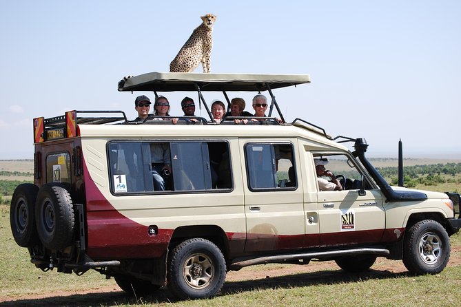 8 Day Masai Mara, Lake Nakuru, Lake Naivasha Amboseli Safari