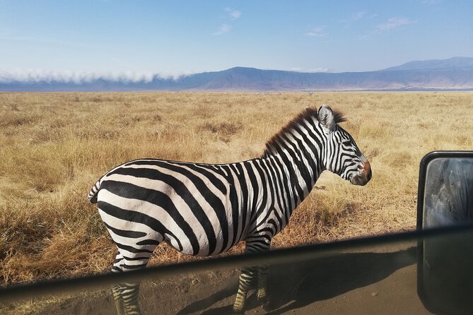 8-Day Private Guided Tanzania Safari With Pick up - Accommodation Options