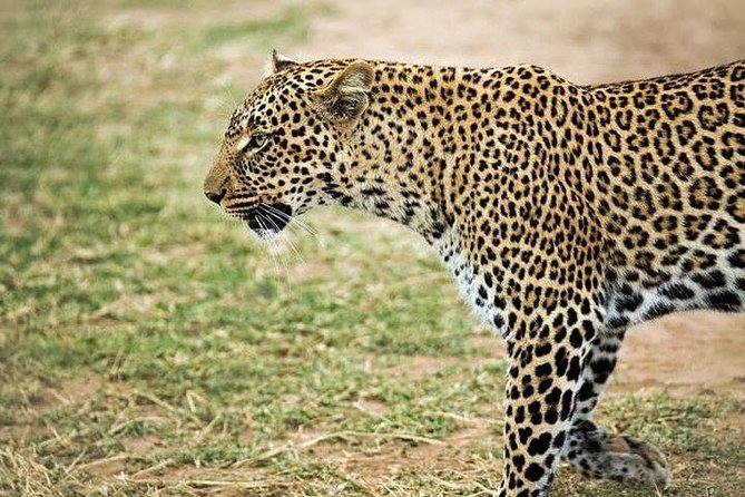8 Days, 7 Nights Budget Kenya and Tanzania Safari