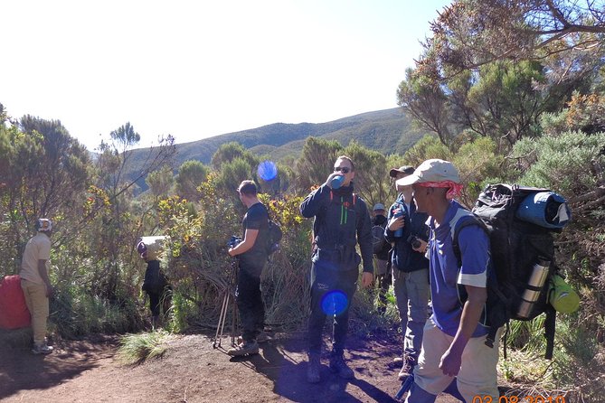 8 Days 7 Nights Kilimanjaro Lemosho Route