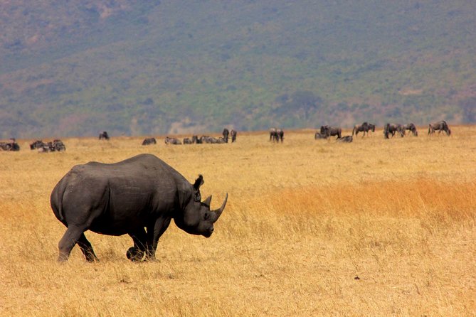 8 Days 7 Nights Tanzania Wildlife & Culture Lodge Safari