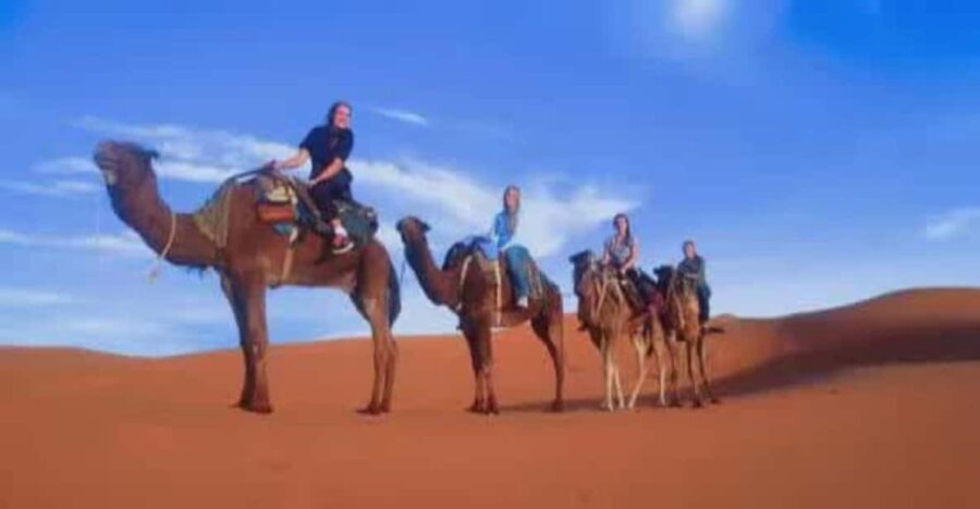 8 Days 7 Nights Tour From Tangier to Marrakech via Merzouga - Tour Overview and Pricing