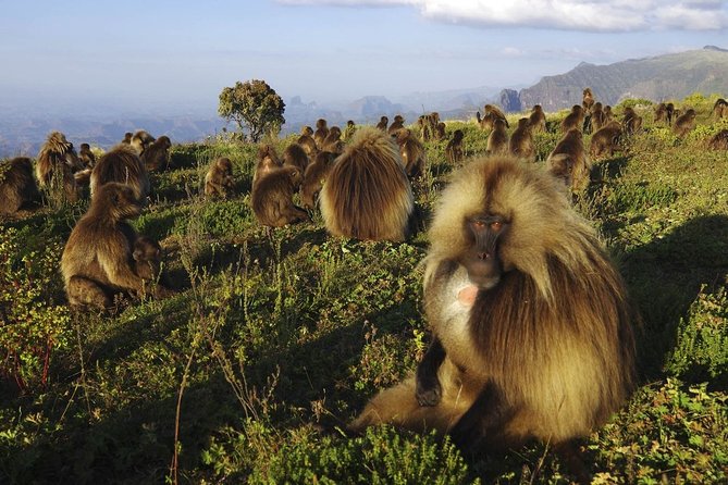 8 Days Historical Tour to Ethiopia