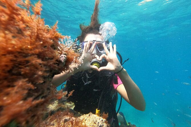 8-Hour Scuba Diving Experience in Side With Lunch
