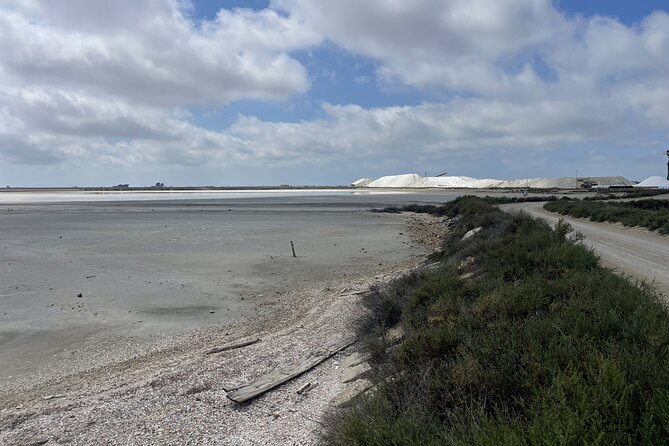 8 Hours Visit to the Camargue Review