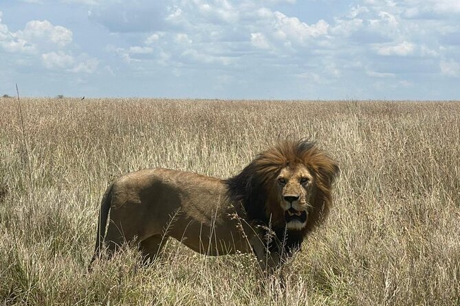 9 Days 8 Nights Walking Safari - Inclusions and Exclusions