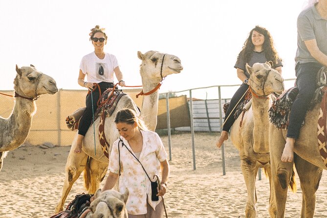 90 Minutes Guided Cultural Camel Riding in Dubai