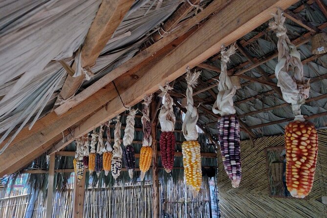 A Day in the Life of a Zapotec Village - Overview of the Tour