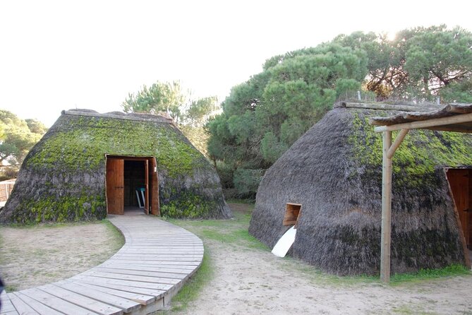 A Day Through the Doñana National Park and the Village of Rocio