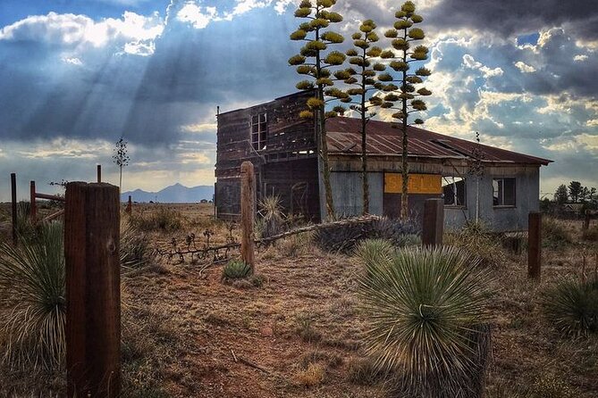 A Wine Tasting Experience in the Vineyards of the Desert