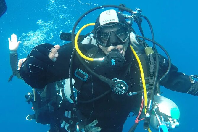 Aci Castello Diving for Certified Divers