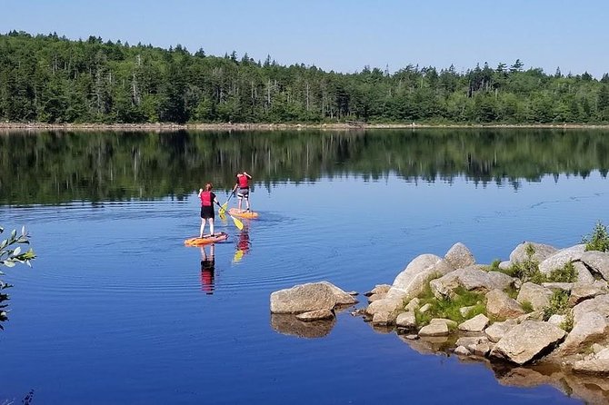 Adult Stand-Up Paddle Board Rental