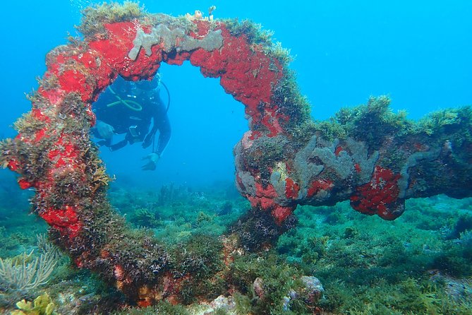 Advanced PADI Diving Course - Course Overview