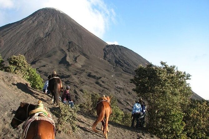 Adventure in Pacaya Volcano From Antigua Guatemala