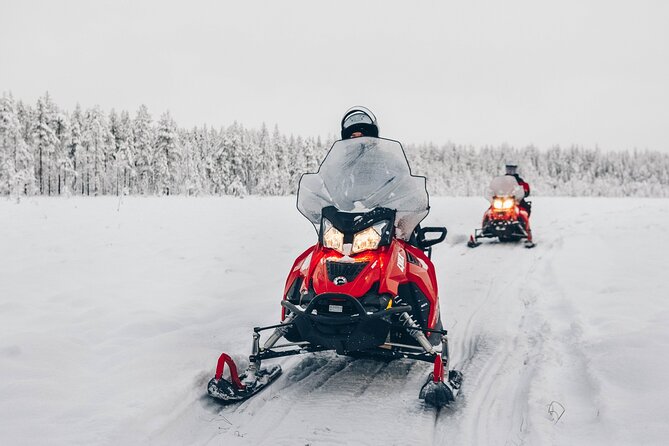 Adventurers Snowmobile Tour 4h