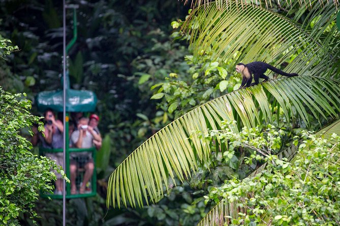 Aerial Tram in Braulio Carrillo National Park From San José