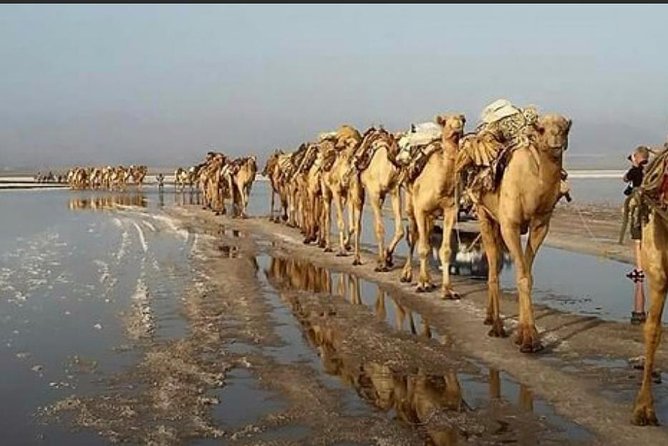 Afar Danakil Depression