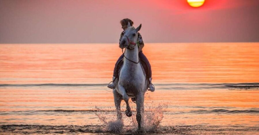 Agadir: Beach Sunset Horse Riding Tour With Transfer