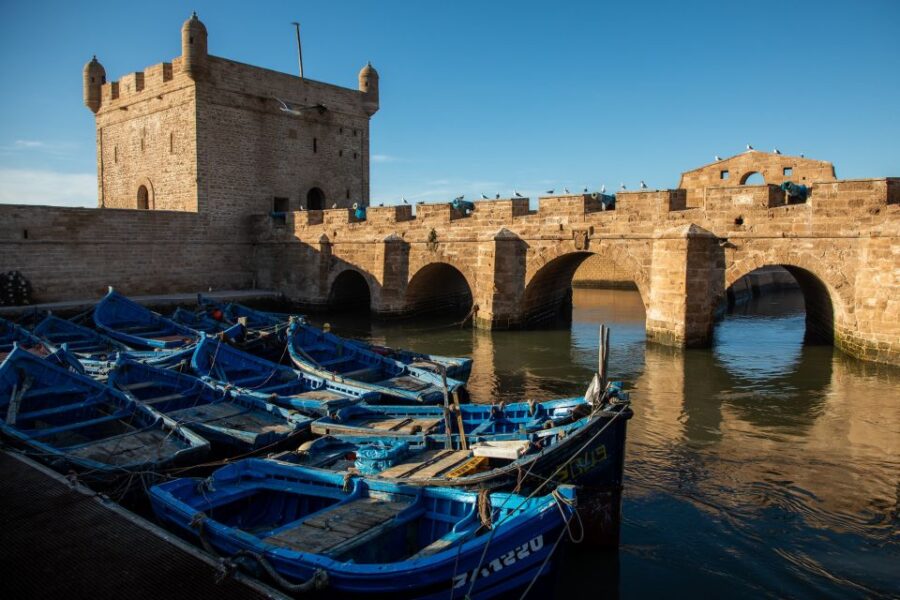 Agadir or Taghazout: Essaouira Guided Day Trip