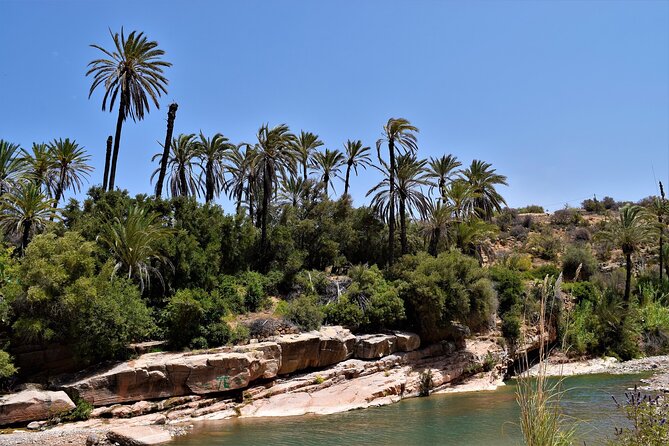 Agadir or Taghazout: Paradise Valley Atlas Mountain Swimming Trip
